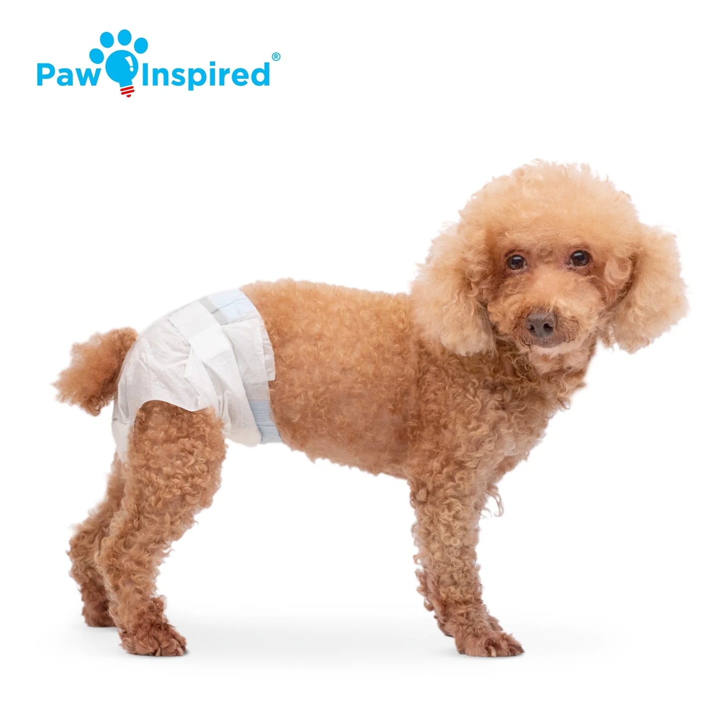 Disposable Dog Diapers Female| Puppy, Doggie, Cat, Pet Diapers |Diapers for Dogs in Heat Period, Diapers That Stay On, Senior, Excitable Urination, or Incontinence (Small, 32 Count)