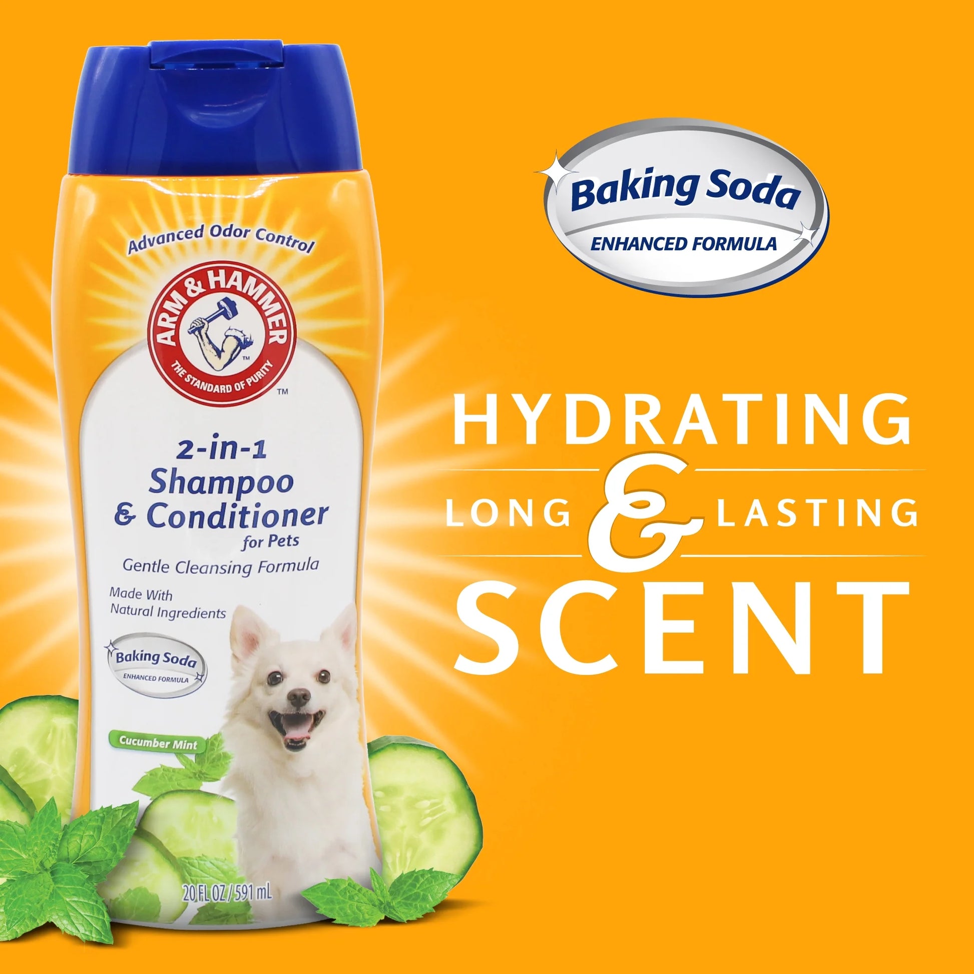 2 in 1 Dog Shampoo Cucumber Mint 20 Oz