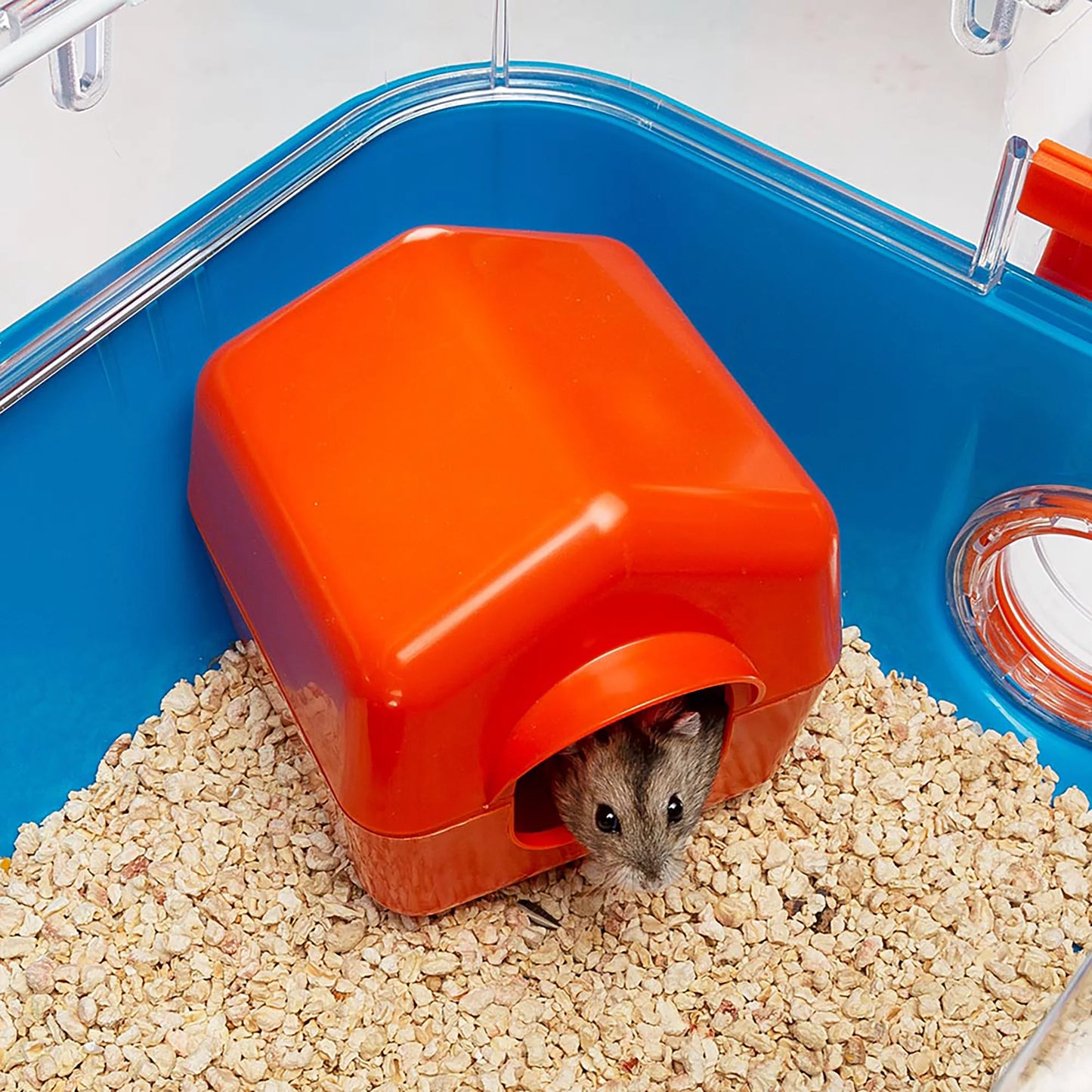 Combi 2 Starter Hamster Cage, Includeswater Bottle, Feeding Bowl, and Cozy House, 31.3L X 11.61W X 10.35H Inches, Blue