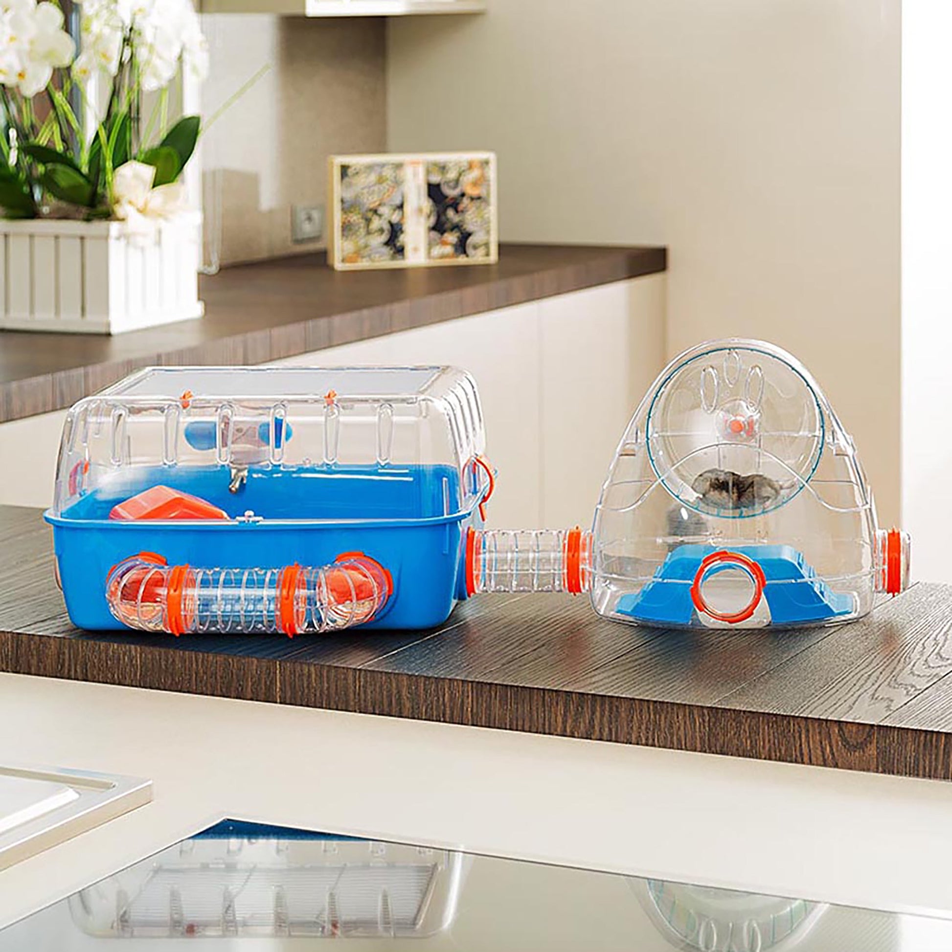 Combi 2 Starter Hamster Cage, Includeswater Bottle, Feeding Bowl, and Cozy House, 31.3L X 11.61W X 10.35H Inches, Blue